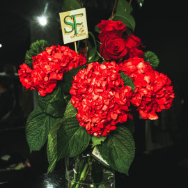 Ramo Manuel de la Vega