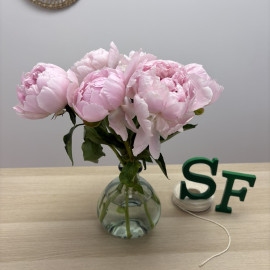 Ramo Peonía Allertie