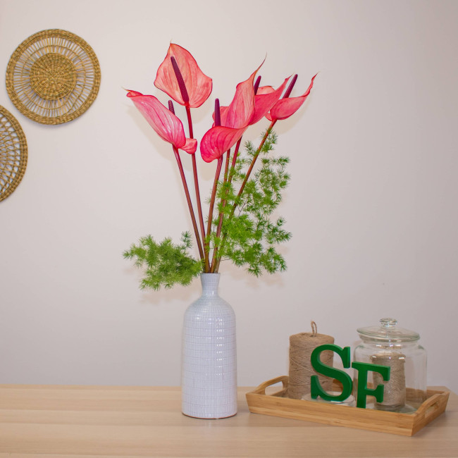 🔥 **Ramo Fuego Rosa – Anthurium y Esparraguera | Elegancia Exótica** 💐