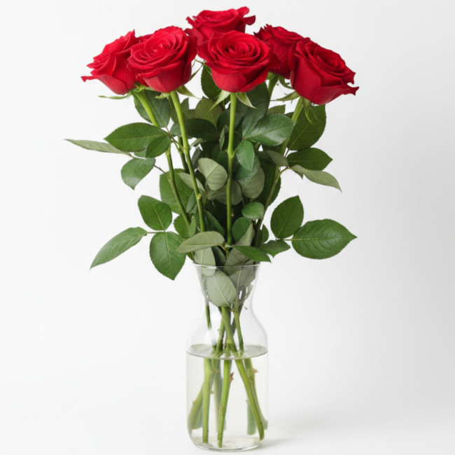 Ramo de 12 Rosas Rojas de 60 cm | Ideal para Todos los Santos