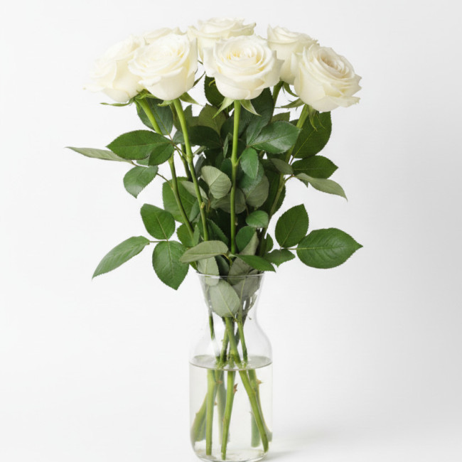 Ramo de 12 Rosas Blancas de 60 cm | Ideal para Todos los Santos