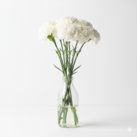 10 TALLOS CLAVEL BLANCO