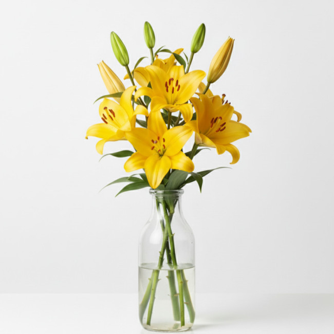 **Lilium Amarillo (5 Tallos) | Elegancia Cultivada en Murcia y Chipiona**