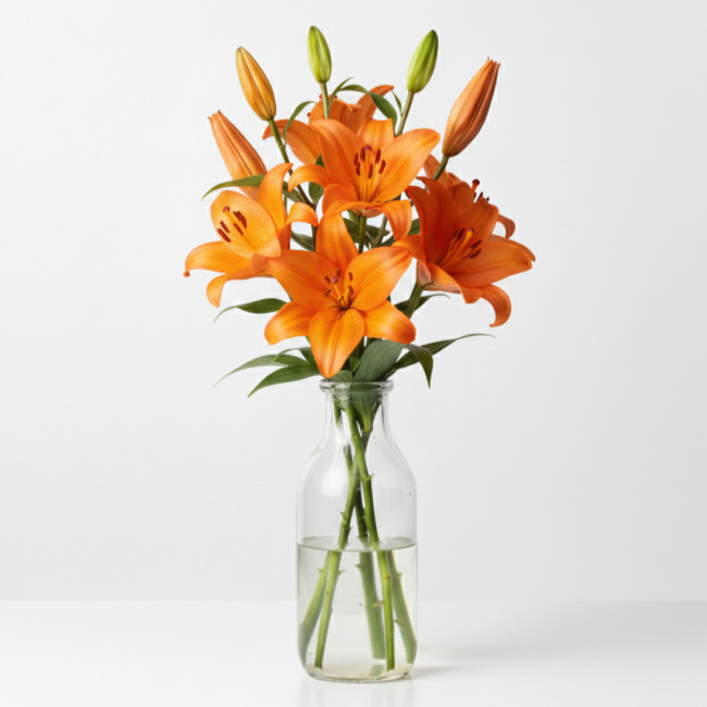 **Lilium Naranja (5 Tallos) | Elegancia Cultivada en Murcia y Chipiona**