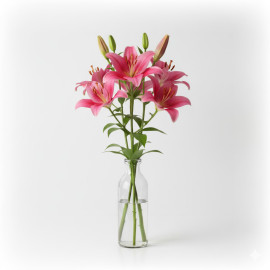 5 TALLOS LILIUM ROSA