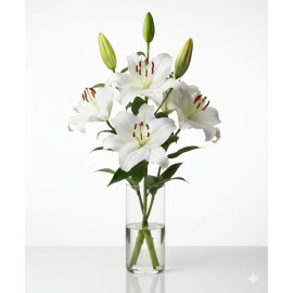 5 TALLOS LILIUM ORIENTAL BLANCO