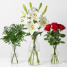 PACK ROSA ROJA+LILIUM BLANCO+HELECHO (10% DTO)