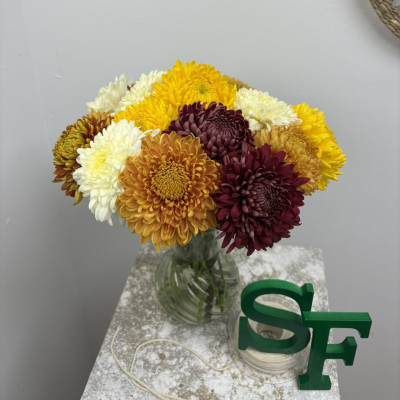 Ramo de Margaritas Otoñales | Colores para Iluminar Noviembre