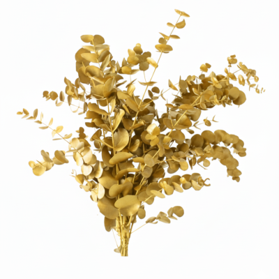 **Eucalipto Cinerea Dorado | Decoración Navideña Elegante**