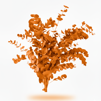 **Eucalipto Cinerea Naranja Tintado | Decoración Navideña Duradera**