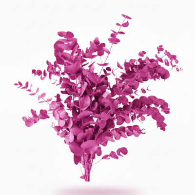 **Eucalipto Cinerea Fucsia Tintado | Decoración Navideña Duradera**