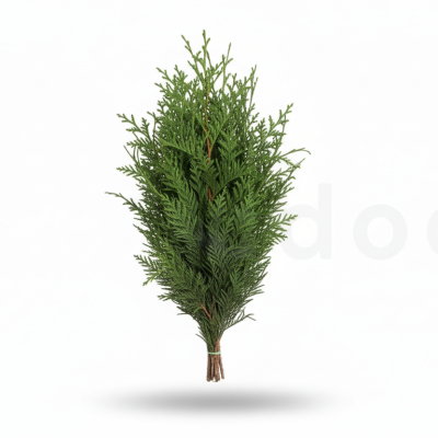 **Tuhja Verde | Decoración Natural para Navidad**