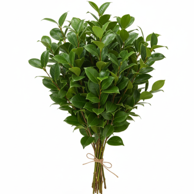 **Hoja de Camelia | Verde Elegante para Decoración Navideña**