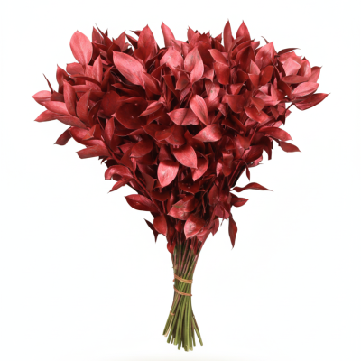 Ruscus Rojo | Decoración Navideña Natural y Festiva