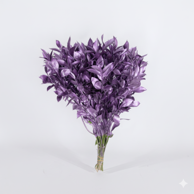 Ruscus Milka | Verde Tintado en Lila para Decoraciones Creativas