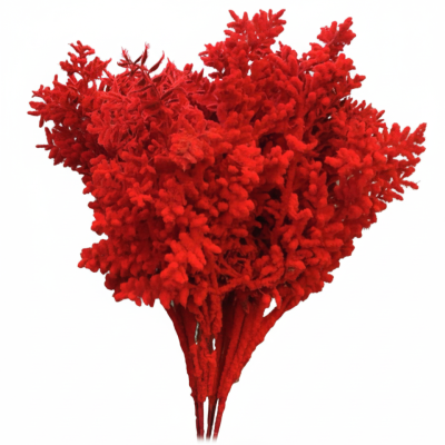 Ruscus Nieve Rojo | Decoración Navideña con Textura Aterciopelada