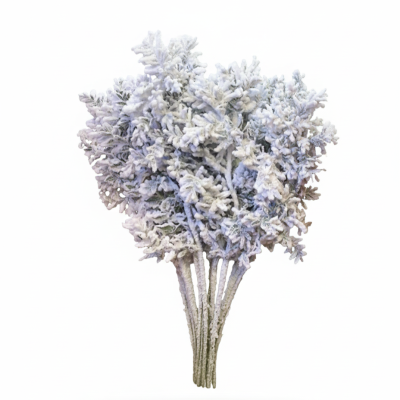 **Ruscus Nieve Blanco | Decoración Navideña Invernal y Elegante**