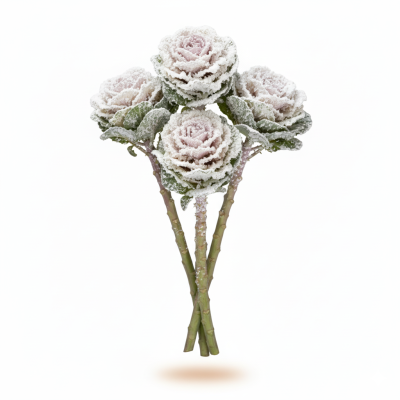 Brassica Nieve Blanca | Flor Invernal para Decoración Navideña
