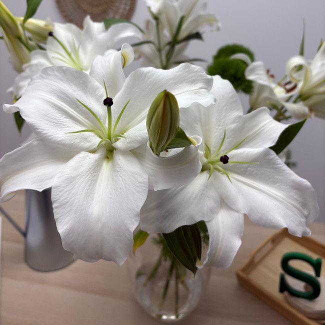 Ramo con las flores abiertas tras haberlo cuidado en casa Ramo con las flores abiertas tras haberlo cuidado en casa